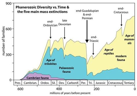 Extinction Events On Earth Timeline - The Earth Images Revimage.Org