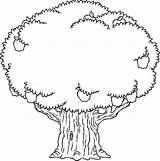 Tree Bark Coloring Pages sketch template