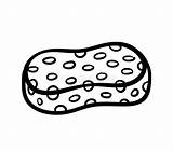 Sponges Sheet Coloring Pages sketch template