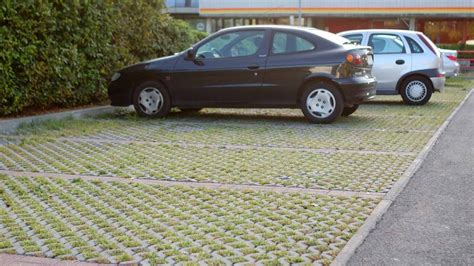 What Is Permeable Paving? Everything You Need to Know