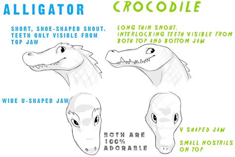 Anatomy Reference, Drawing Reference Poses, Art Reference Photos ...