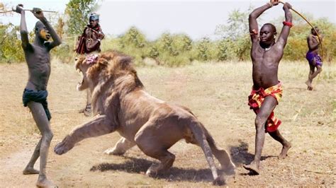 दुनिया के सबसे खतरनाक लोग, जिनसे शेर भी डरते है | Maasai People Vs Lion | Lion Vs Man Real Fight ...