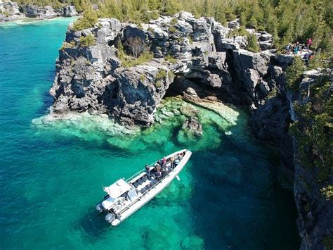 Excellent service! - Tobermory Wave Adventures, Tobermory Traveller ...