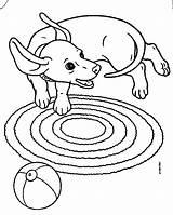 Dachshund Dog Coloring Pages sketch template