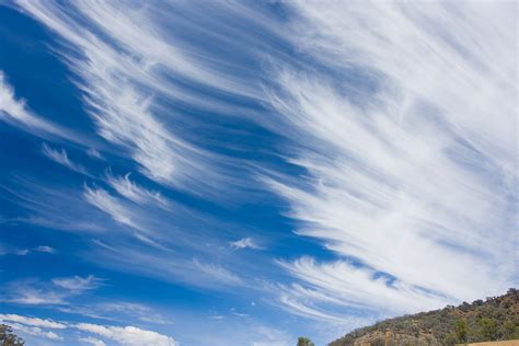File:Cirrus clouds mar08.jpg - Wikipedia