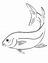 Free Printable Fish Coloring Pages For Kids sketch template
