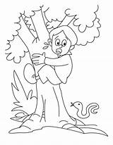 Climb  Free Colouring Pages sketch template