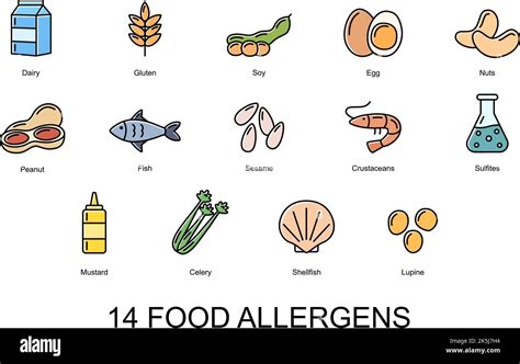 14 food allergens. Set of color icons of basic allergens . Vector ...