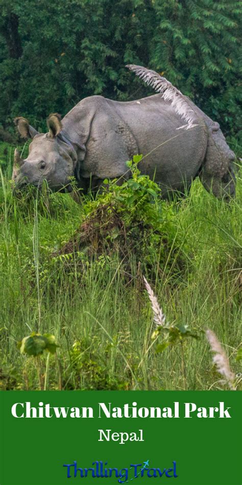 A UNESCO World Heritage Site amid Churia Hills, Chitwan National Park is home to One Horned ...