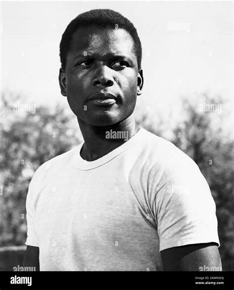 SIDNEY POITIER, LILIES OF THE FIELD, 1963 Stock Photo - Alamy