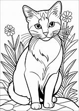 Pretty cat And Flowers  Cat Coloring Pages sketch template