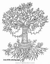 Simple Tree Roots Coloring Pages sketch template