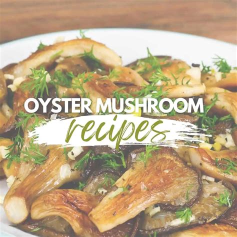 25 Amazing Oyster Mushroom Recipe Ideas to Try