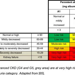 Prognosis of chronic kidney disease (CKD) by glomerular filtration rate ...