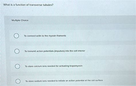 Solved: What is a function of transverse tubules? Multiple Choice To connect actin to the myosin ...