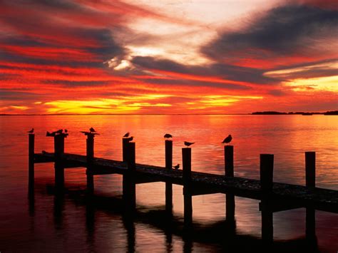 Florida Sunset wallpaper | 1600x1200 | #15433