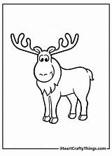Moose Coloring Pages sketch template