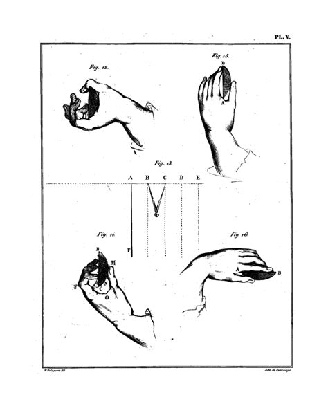 guitar - Recommended arm and hand position for neck side - Music ...