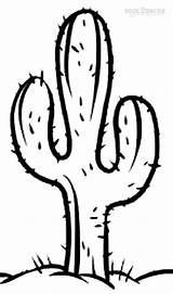 Printable Cactus Coloring Pages For Kids  Cool2bKids sketch template