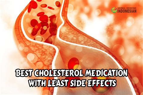 Cholesterol Medication | Herb Medicine