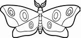 Moth Coloring Page sketch template