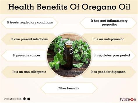 Benefits of Oregano Oil And Its Side Effects | Lybrate