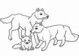 Wolf Coloring Pages  Free Printable For Kids sketch template