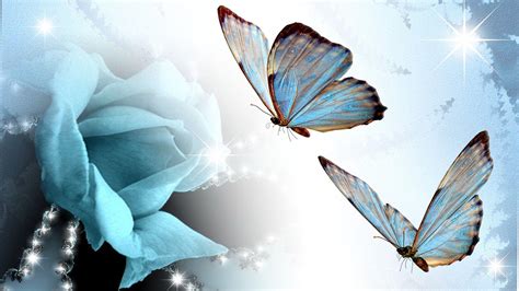 Turquoise Purple Butterfly Wallpapers - Top Free Turquoise Purple ...