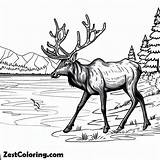 Elk Walking By The Lakeside Coloring Pages  For Kids – Smart sketch template