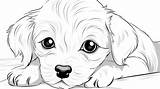 Ausmalbilder Welpe Freunde Malvorlagen  AusmalbilderFurKinderde sketch template