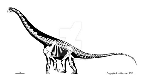 Remember the (subadult) Alamosaurus | Long neck dinosaur, Ancient animals, Dinosaur alphabet