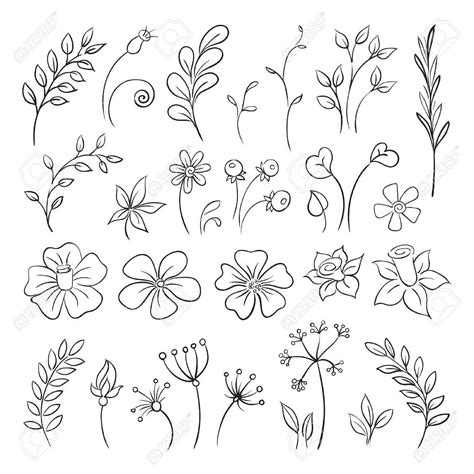 Doodle elements of Flowers, buds, leaves. Stock Vector - 31449944 | Doodle art flowers, Flower ...