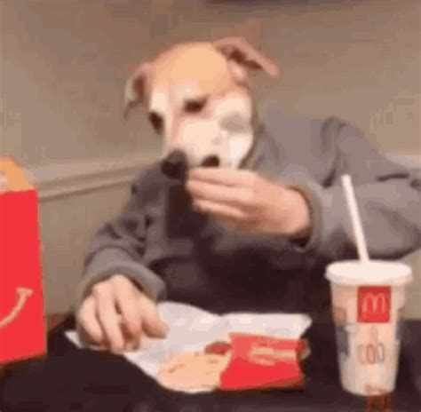 Funny Animals Dog GIF - FunnyAnimals Dog Mcdonalds - Discover & Share GIFs