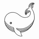 Whale Coloring Book Vector Art Icons And Graphics For Free Download sketch template