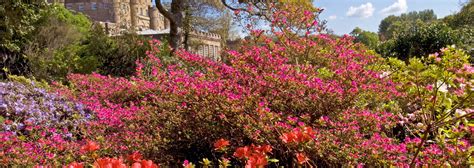 Best gardens in Scotland | National Trust for Scotland