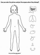 My Body Coloring Pages For Toddlers sketch template