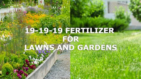 19-19-19 Fertilizer: How & When to Use - Benefits - Good For Lawns?