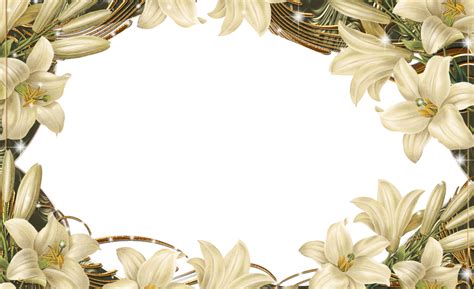 Picture Flower Frame Design Floral Border Transparent HQ PNG Download | FreePNGImg