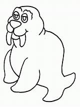 Free Printable Walrus Coloring Pages For Kids sketch template