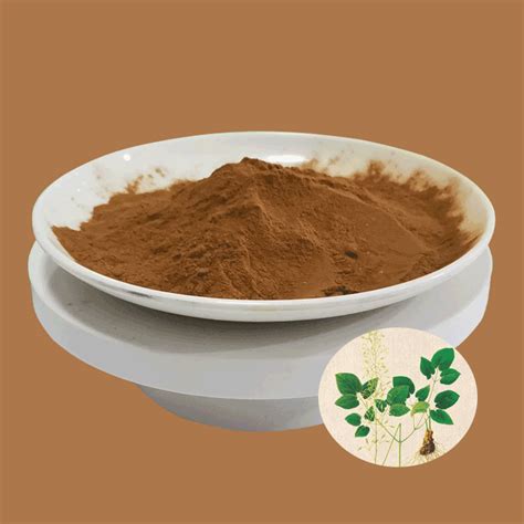 Pure icariin extract powder supplier&manufacturer - Longze Biotechnology