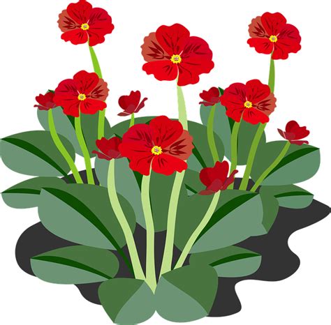 Download Clip Art, Beautiful Flowers, Flor. Royalty-Free Vector Graphic - Pixabay