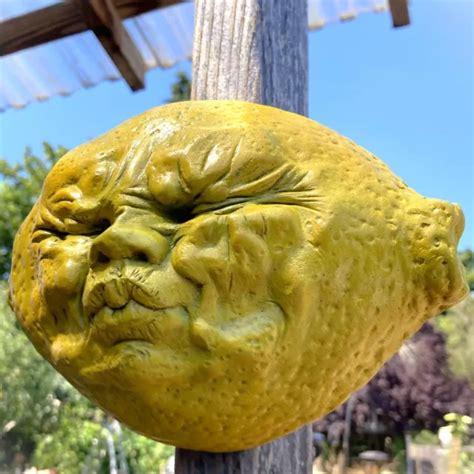YELLOW LEMON FACE Wall Sculpture, Weatherproof & Ready to Hang, Handmade, Signed $68.00 - PicClick