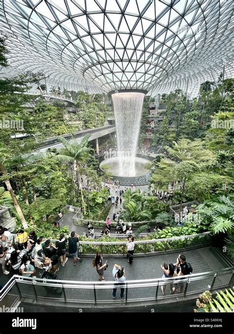 Indoor waterfall the Rain Vortex and Shiseido Forest Valley at Jewel ...