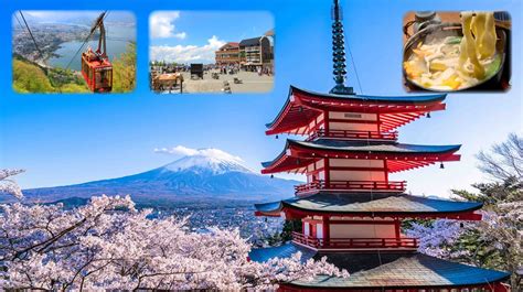 "Experience the Beauty of Cherry Blossoms in Tokyo and Mount Fuji on a One Day Trip" | funBooky