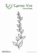 Vine Coloring Flandersfamily Sketch Page sketch template