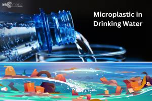 Microplastics in Drinking Water: Causes and Prevention Overview - Intec America Corporation