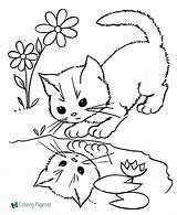 Cat Coloring Pages sketch template
