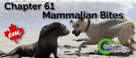 CRACKCast E061 – Mammalian Bites - CanadiEM