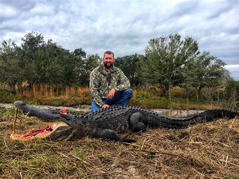 Gator Hunt Reports – Trophy Florida Gator Hunting By Get Bit OutDoors