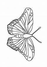 Butterfly Coloring Pages sketch template